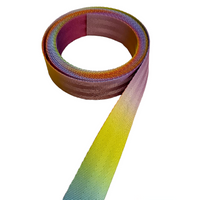 1" Seat Belt Pastel Tye-Dye Webbing 5 yards
