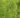 Earth Jewel #56 (Moss)