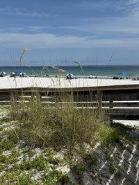 Classi February Winter Retreat 2026 with "G"